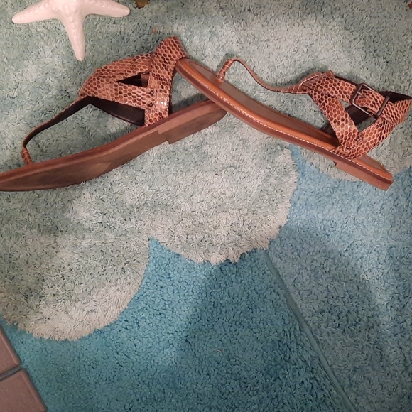 Shoes - Picture 2 of 3